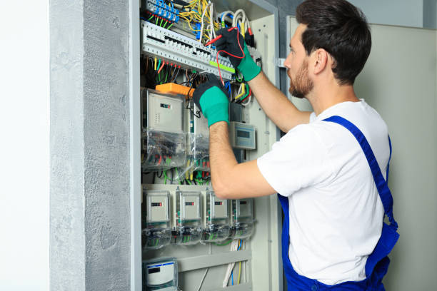 Best Generator Installation Services  in Warrior, AL