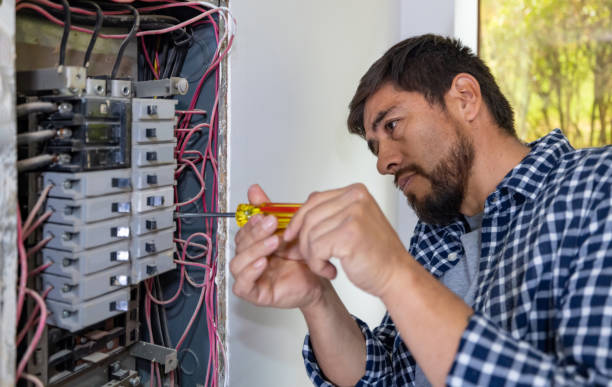 Best Electrical Repair Services  in Warrior, AL